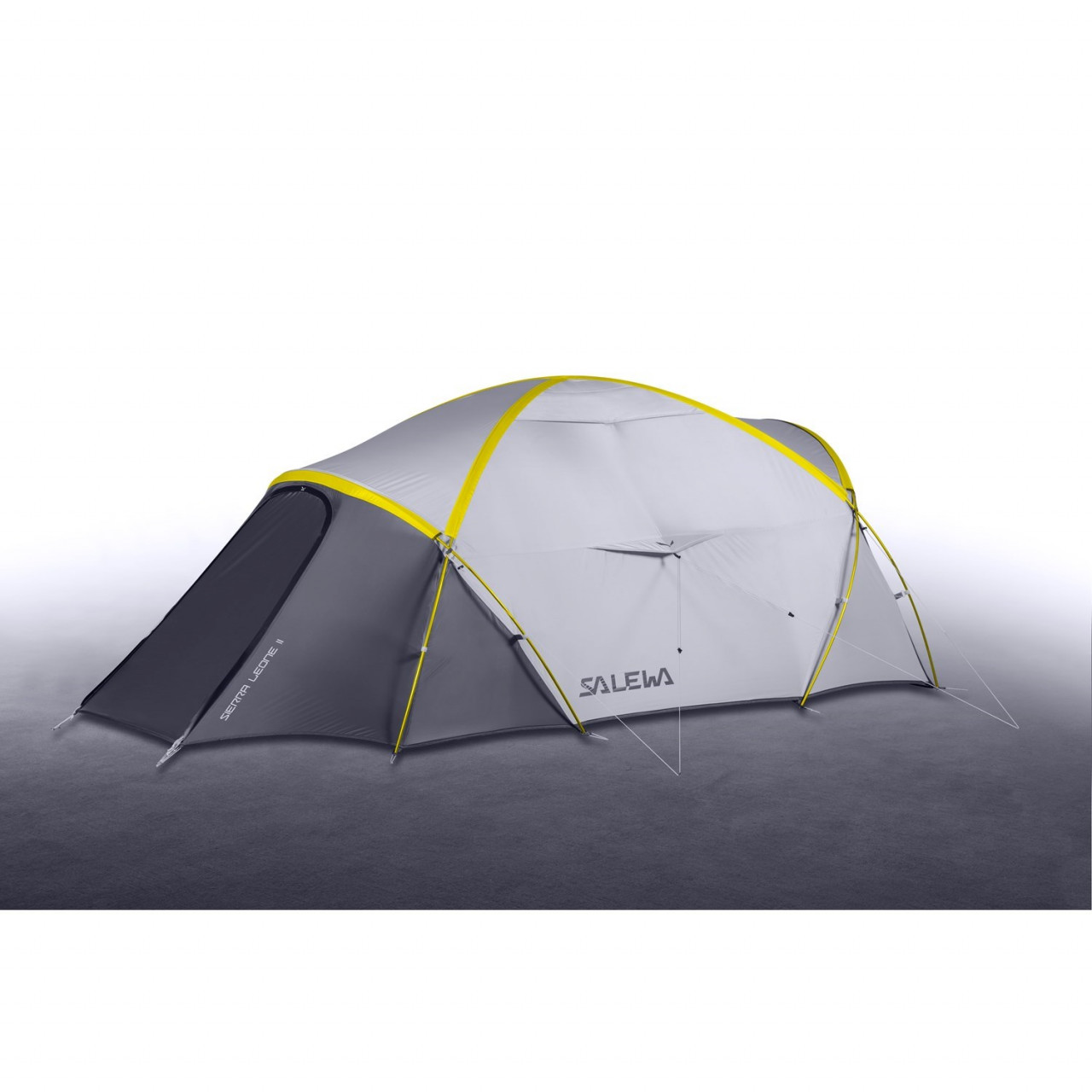 denali 2 salewa